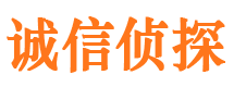 根河市侦探公司